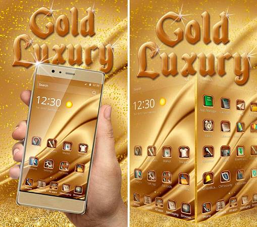 Скриншоты из Gold Luxury Theme Делюкс
